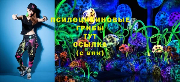 прущий лед Алексин