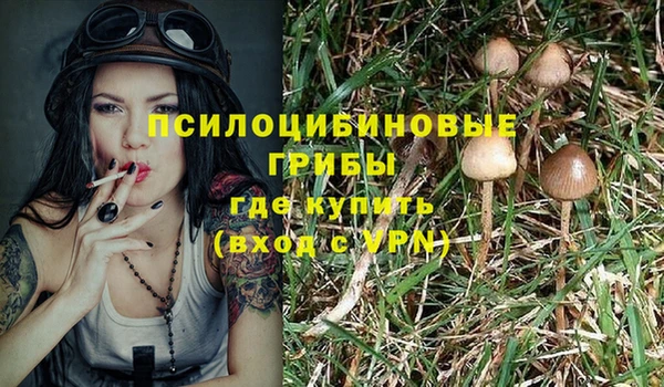 прущий лед Алексин