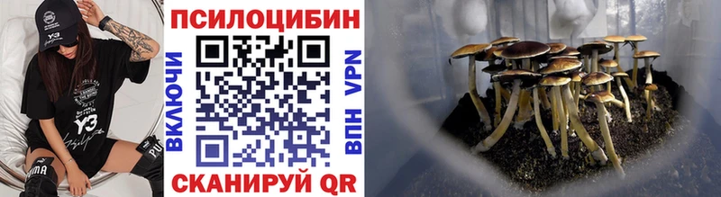 мориарти Telegram  Электрогорск  Галлюциногенные грибы MAGIC MUSHROOMS 